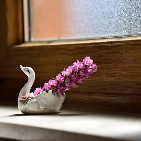 Appartamento [centro Storico] - Hl Short Rent Aosta