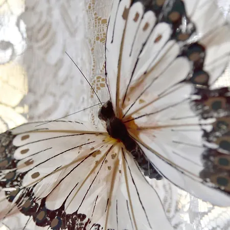 [centro Storico] - Hl Short Rent *